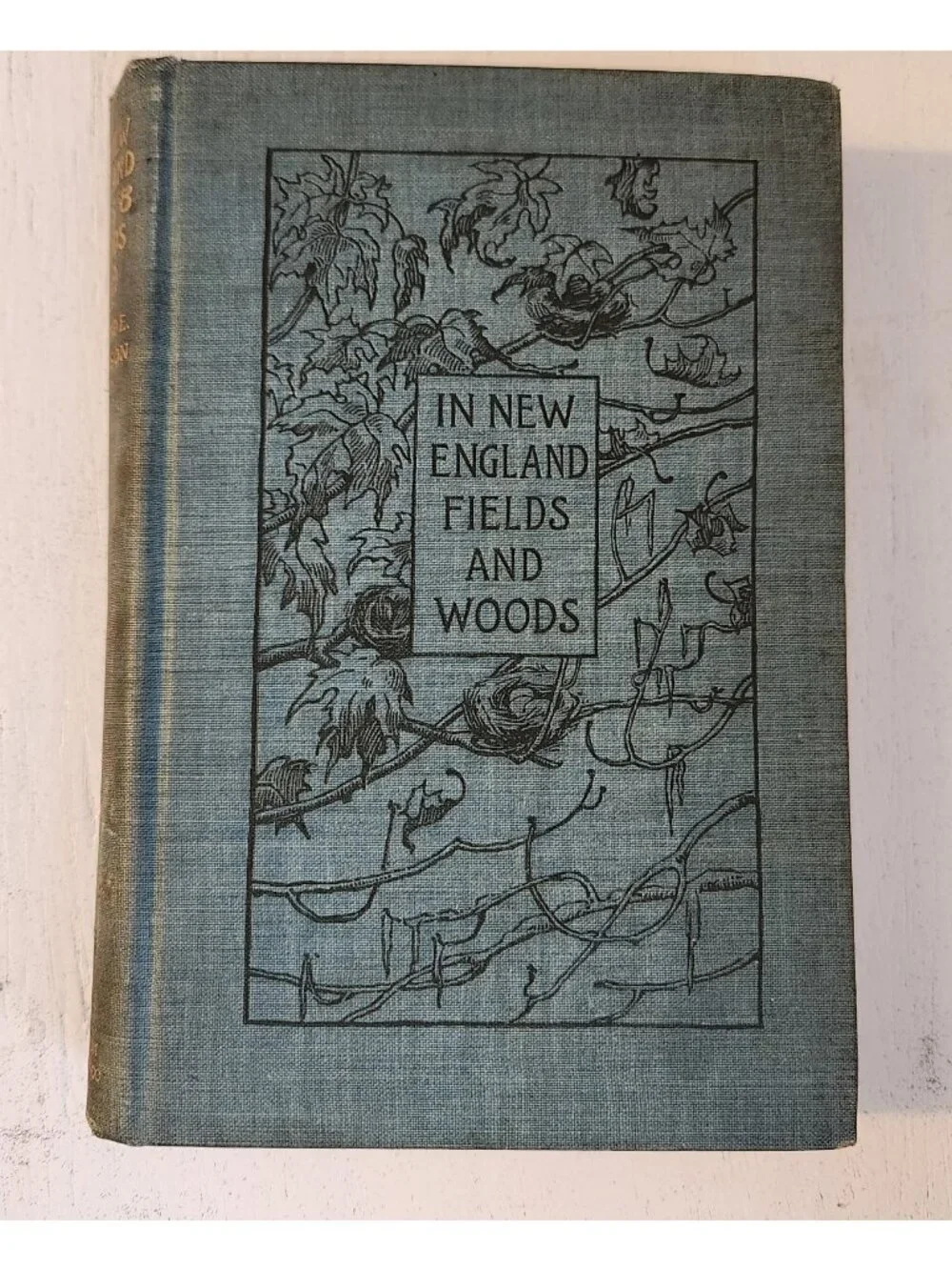 1896 1st Ed. In New England Fields and Woods Rowland Robinson Antique HC